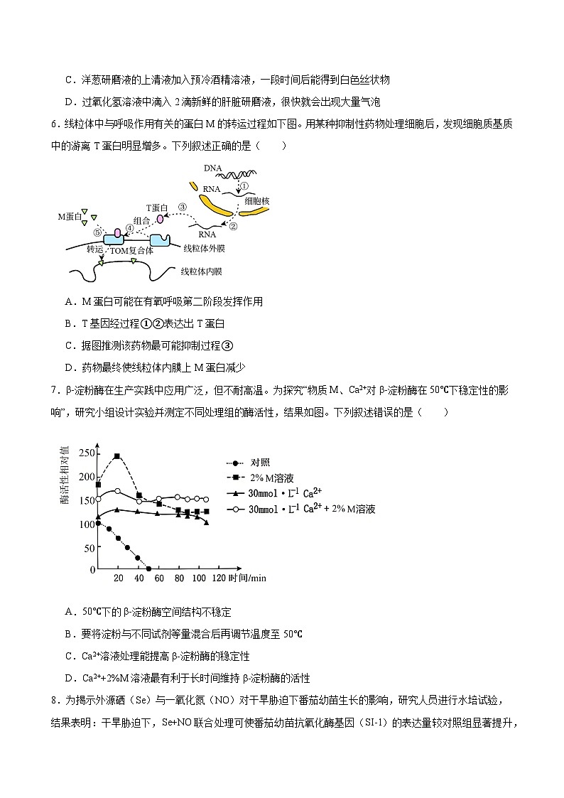 福建省龙岩市2026届高三下学期三月教学质量检测 生物试卷（含解析）第2页