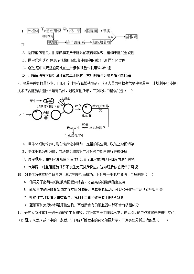 吉林省通化市梅河口市第五中学2026届高三下学期开学考试 生物试卷（含解析）第3页