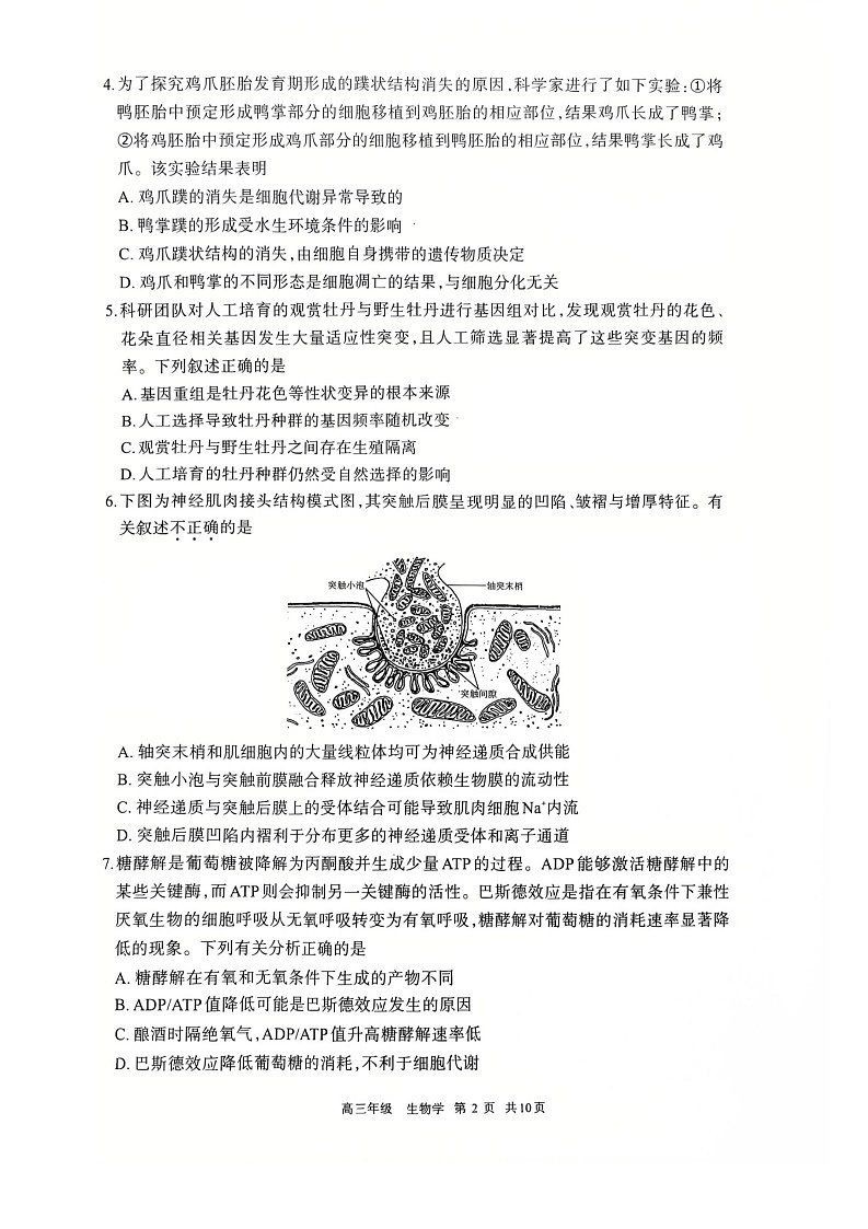2026届内蒙古呼和浩特市高三下学期高考一模考试生物试卷第2页