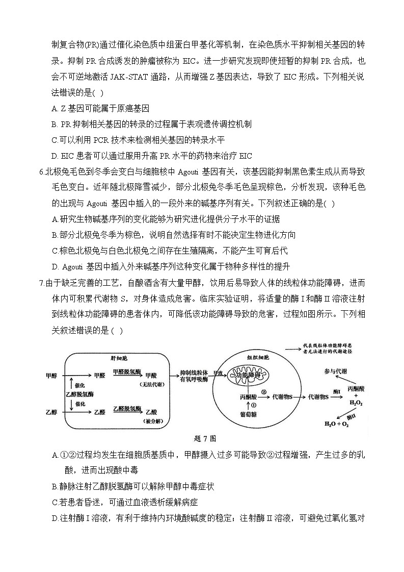 重庆市拔尖强基联盟2024-2025学年高三下学期2月月考生物试题第3页