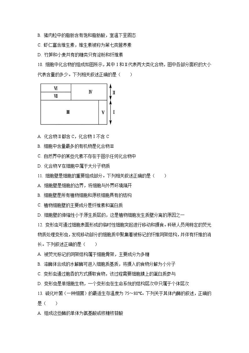 【生物】广西壮族自治区桂林市金太阳阶段性联考2025-2026学年高一上学期12月期中试题（学生版）第3页