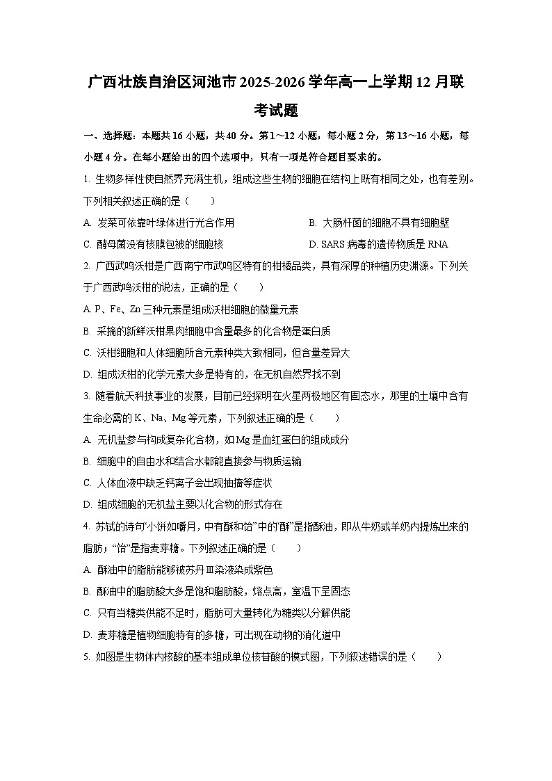 【生物】广西壮族自治区河池市2025-2026学年高一上学期12月联考试题（学生版）第1页