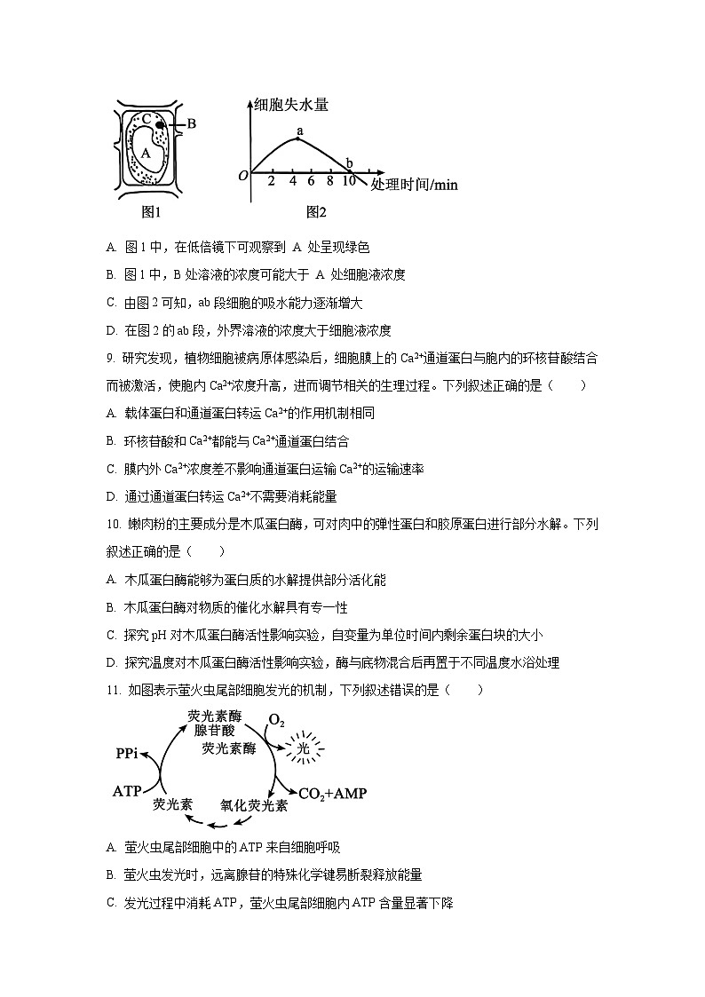 【生物】陕西汉中市普通高中十校盟2025-2026学年第一学期高一期末考试试题（学生版）第3页