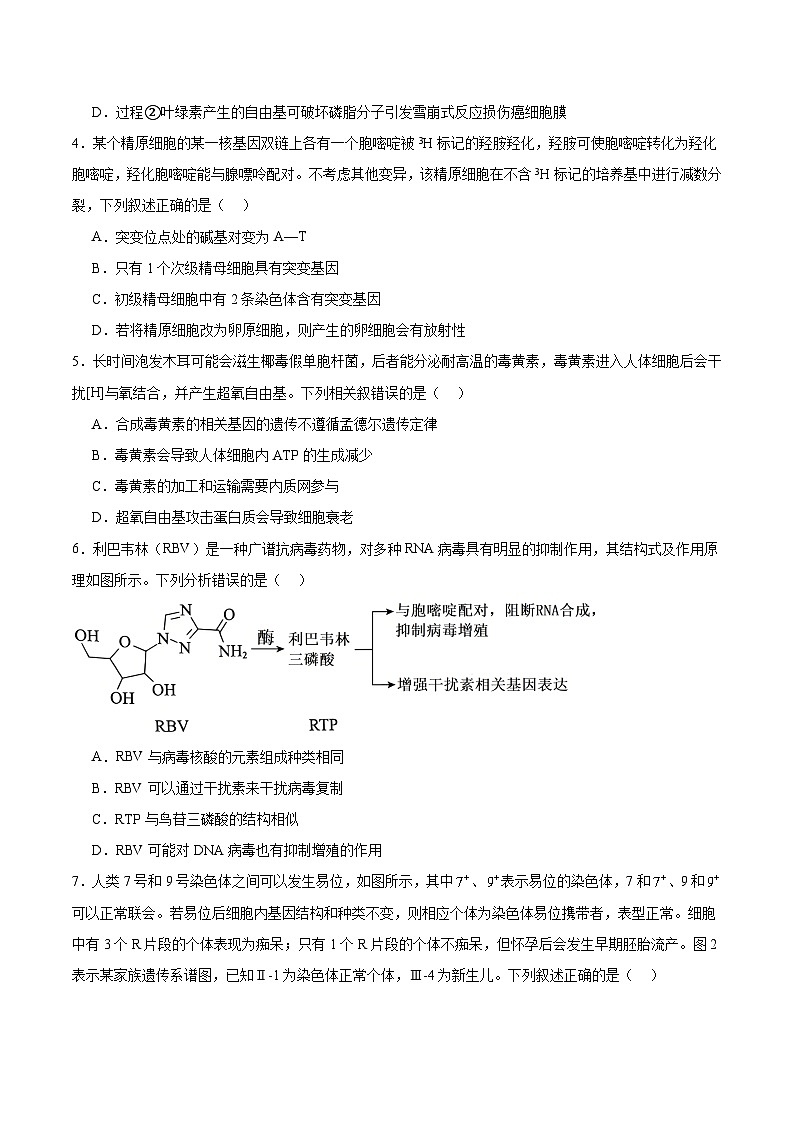 2026合肥普通高中六校联盟高三上学期第一次教学质量监测试题生物含答案第2页