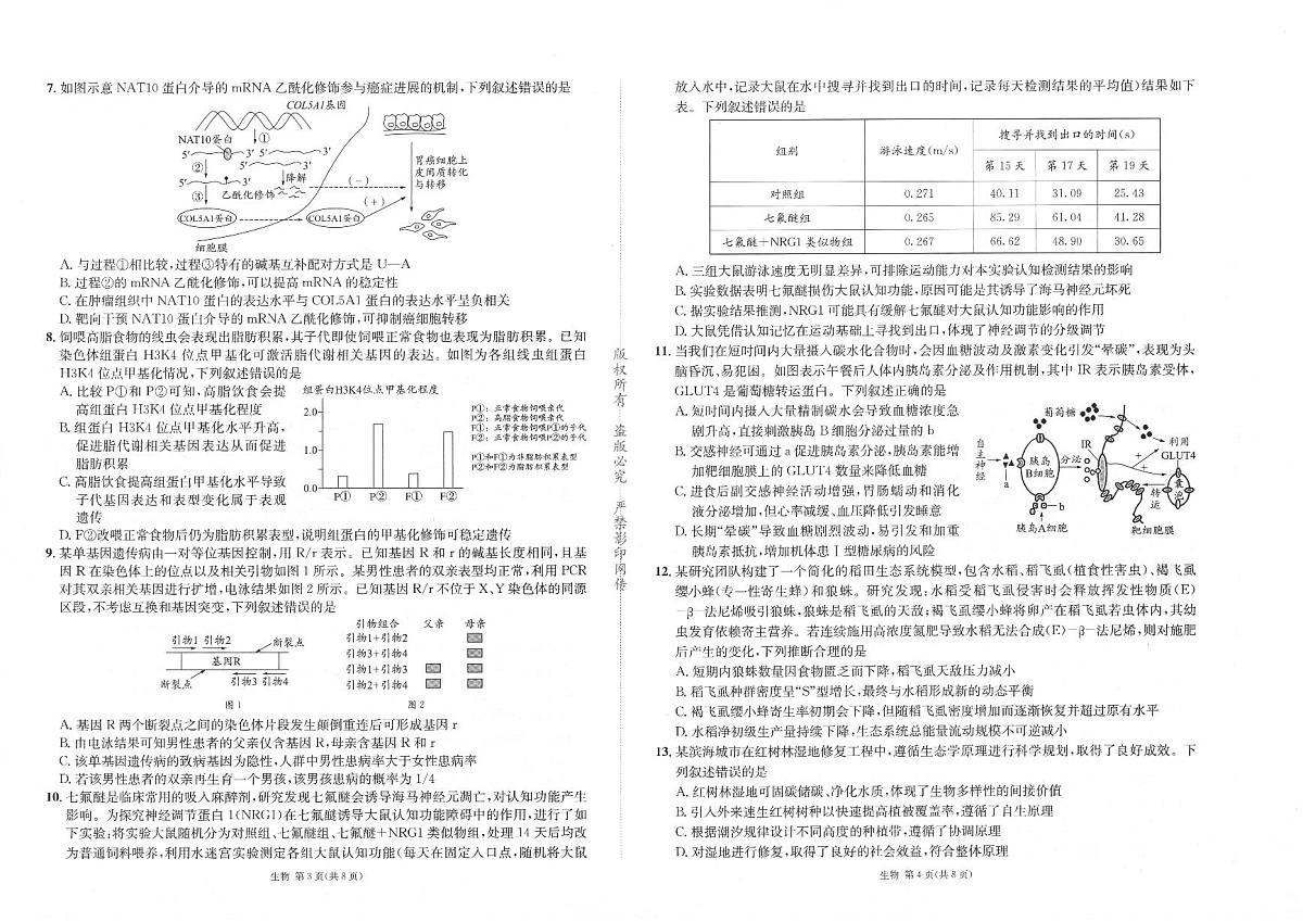 2026成都石室中学高三下学期二诊生物试题PDF版无答案第2页