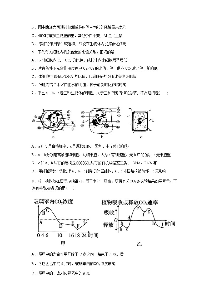安徽省桐城中学2025-2026学年高一下学期开学考试生物试题含答案第3页