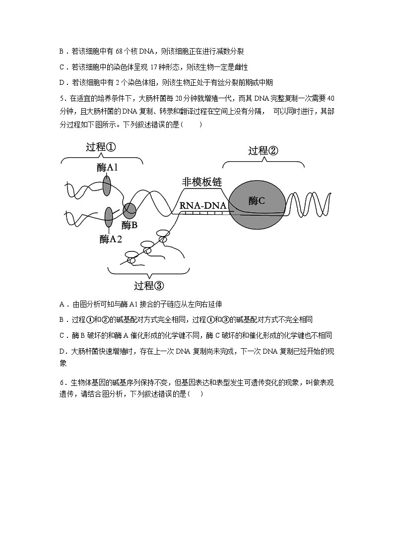 安徽省六安市独山中学2025-2026学年高三下学期开学考试生物试题含答案第2页