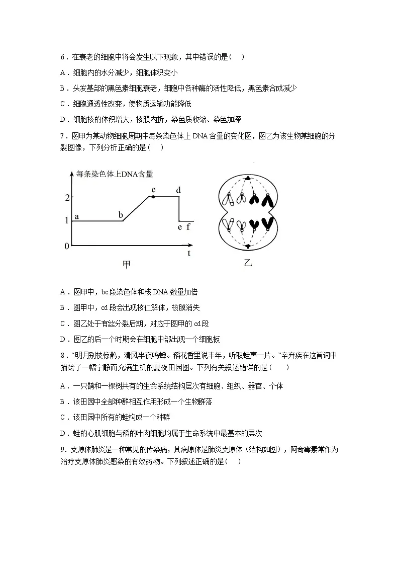 山西省长子县第一中学校2025-2026学年高二下学期开学生物试题含答案第2页