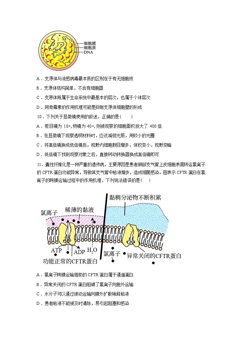 山西省长子县第一中学校2025-2026学年高二下学期开学生物试题含答案第3页