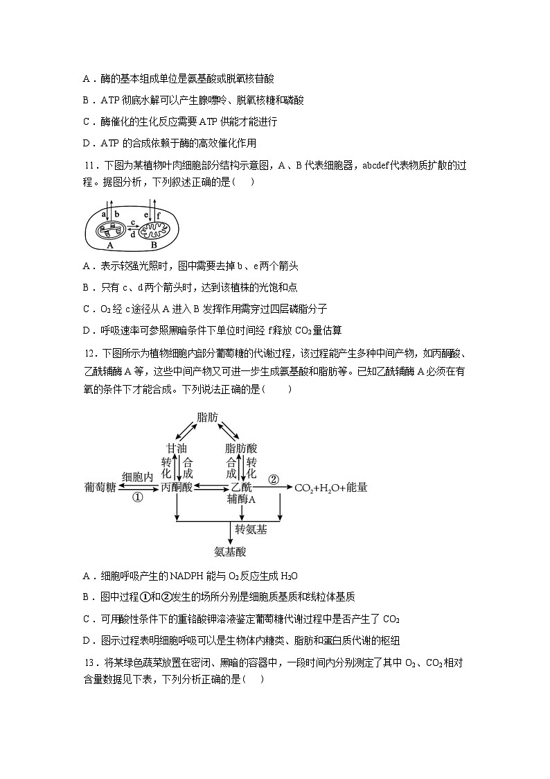 山西阳泉市第一中学校2025-2026学年高一年级下学期分班考试生物试题含答案第3页