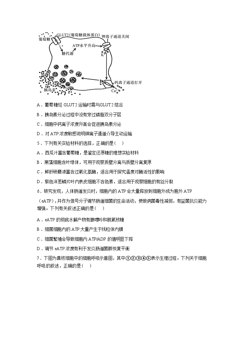山西省临汾第一中学校2025—2026学年高一下学期开学考试生物试题含答案第2页