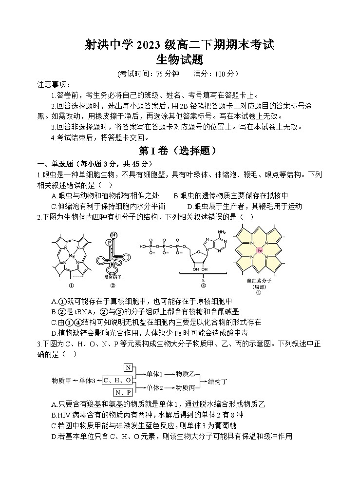 四川省遂宁市射洪中学高2023级高二下期期末模拟考试生物试题第1页