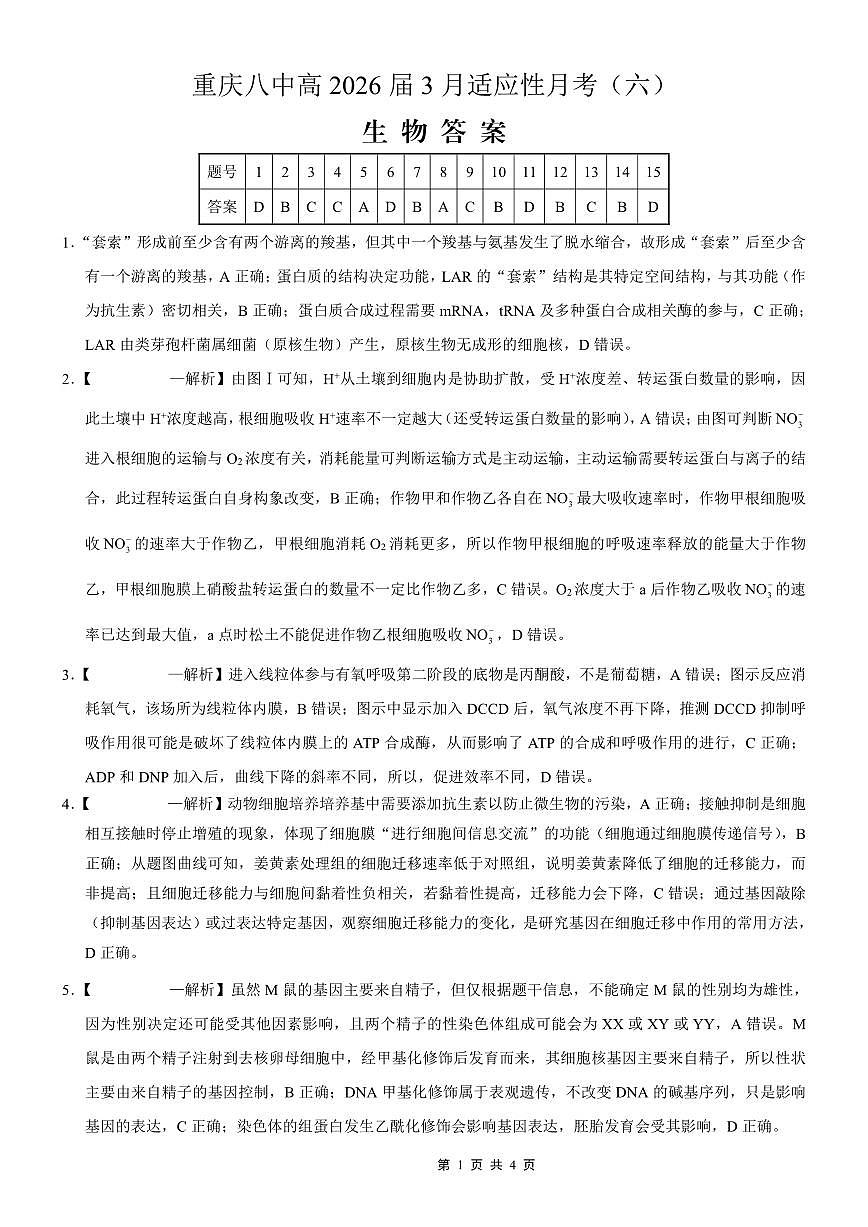 重庆市第八中学2026届高考适应性月考卷（六）生物答案第1页