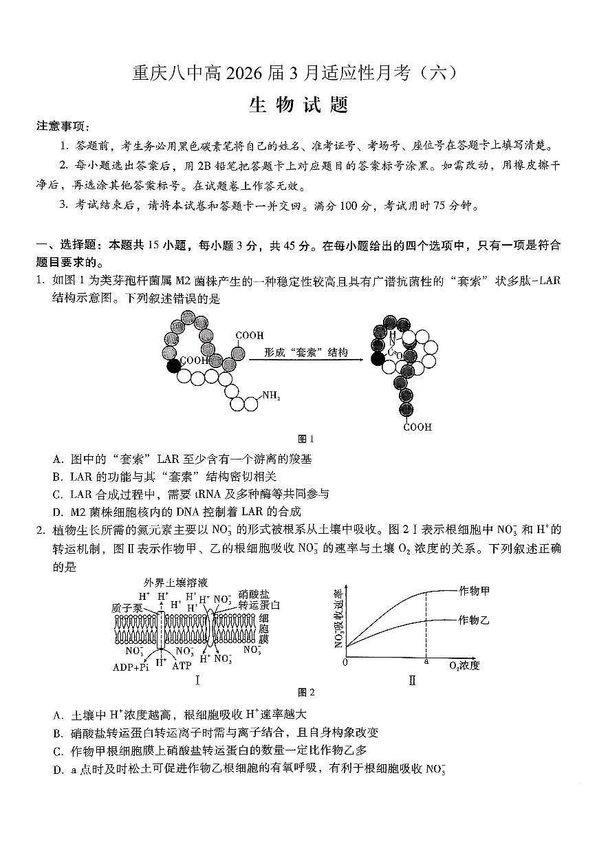 重庆市第八中学2026届高考适应性月考卷（六）生物第1页