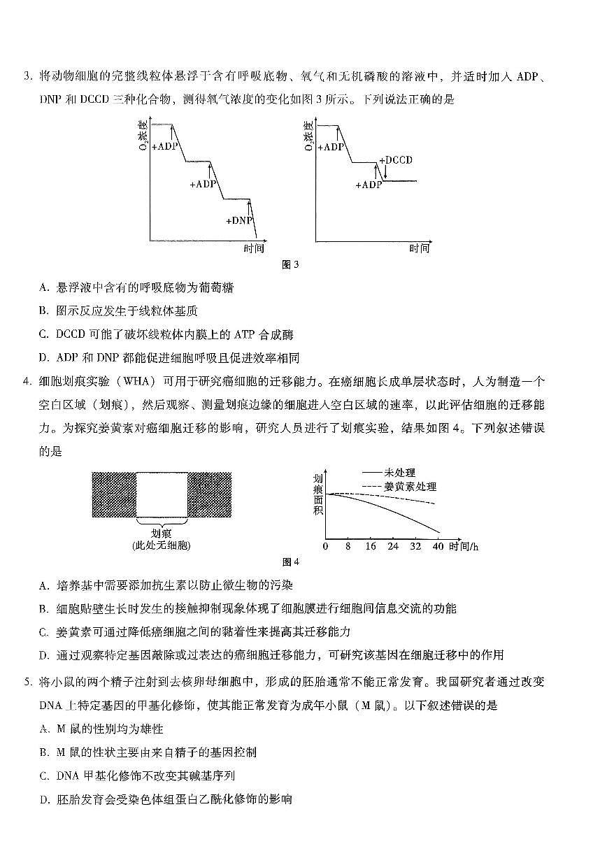 重庆市第八中学2026届高考适应性月考卷（六）生物第2页