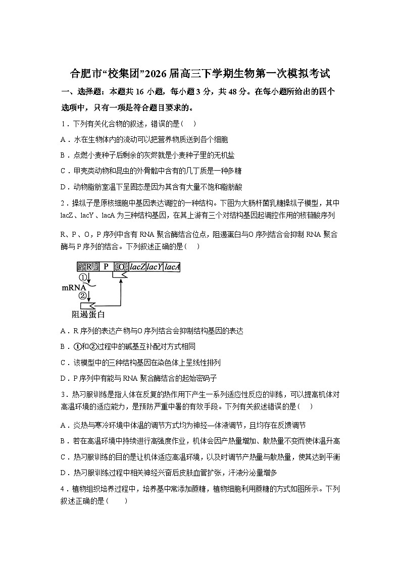 安徽合肥市“校集团”2026届高三下学期生物第一次模拟考试含答案第1页
