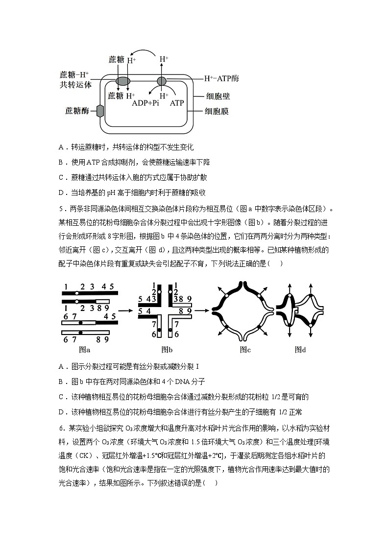 安徽合肥市“校集团”2026届高三下学期生物第一次模拟考试含答案第2页
