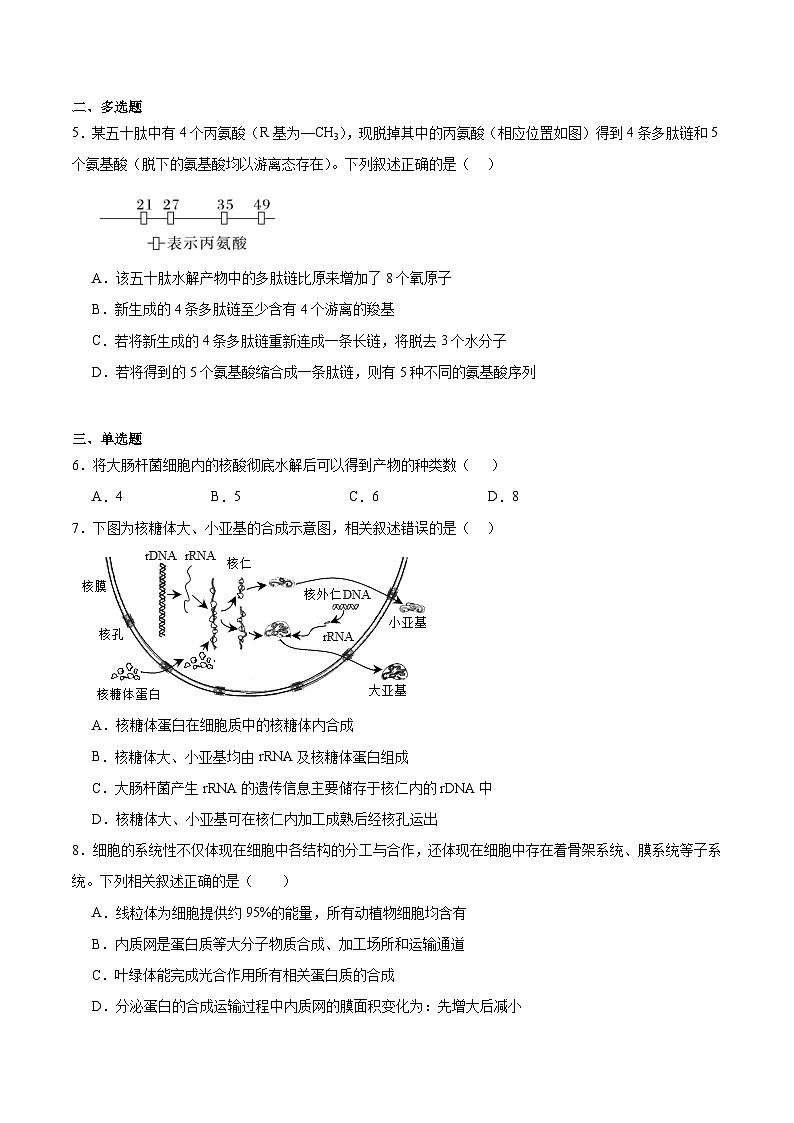 河北省衡水市重点高中2025-2026学年高一下学期3月开学测试 生物（含解析）第2页