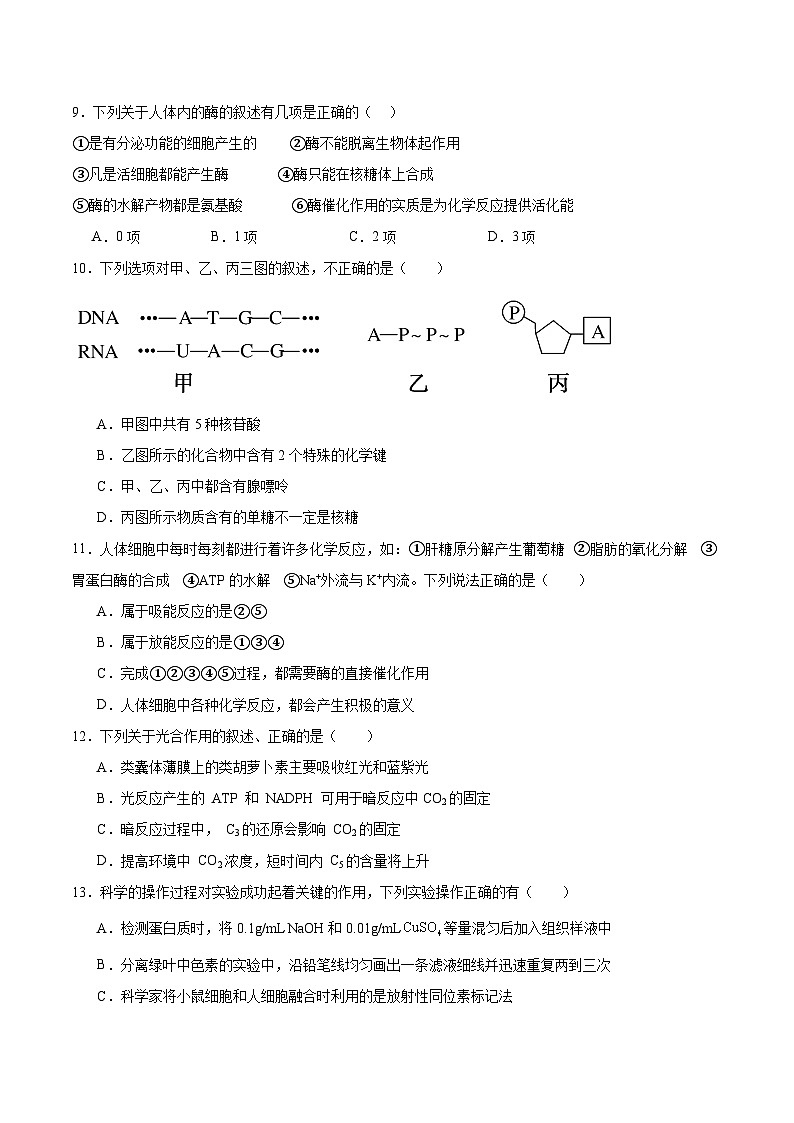 河北省衡水市重点高中2025-2026学年高一下学期3月开学测试 生物（含解析）第3页
