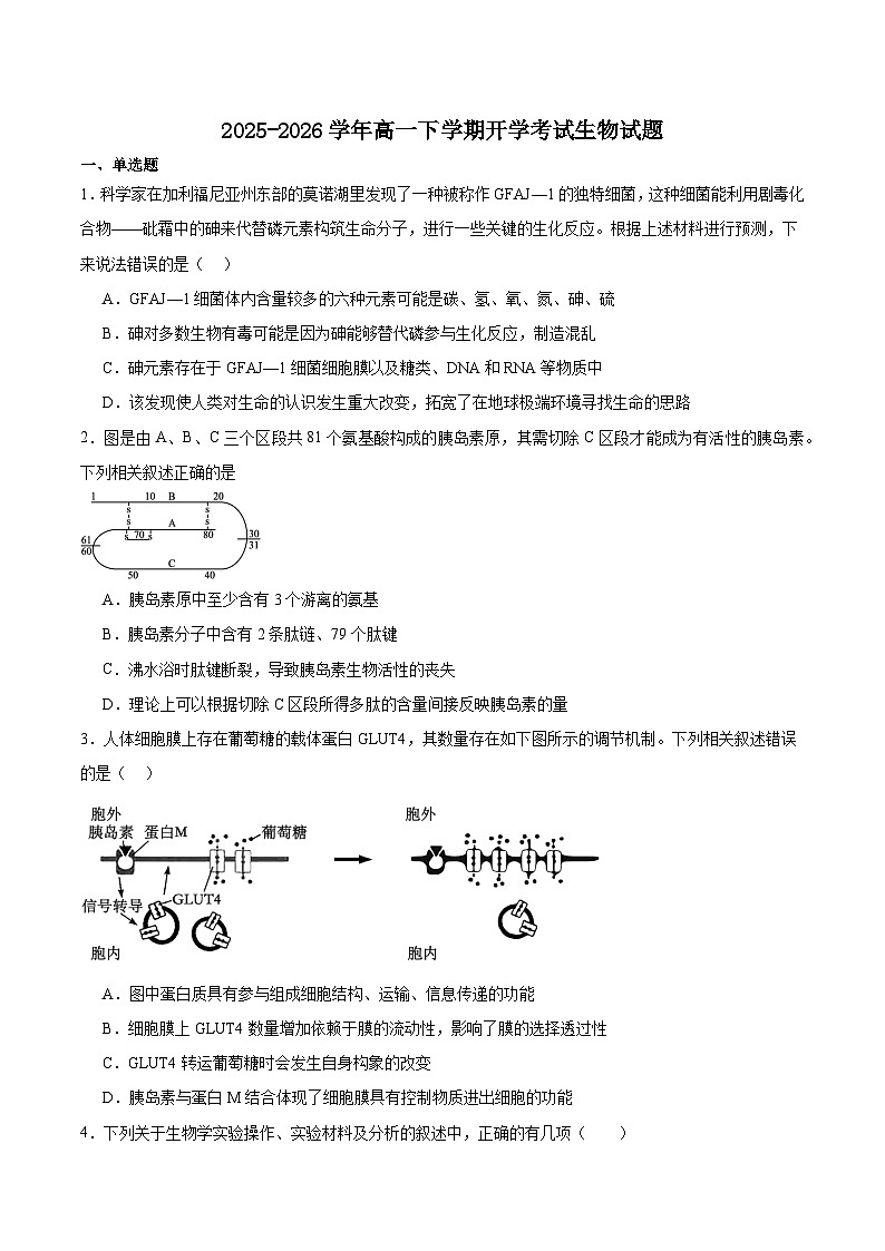 安徽省芜湖市重点高中2025-2026学年高一下学期3月开学质量检测 生物（含解析）第1页