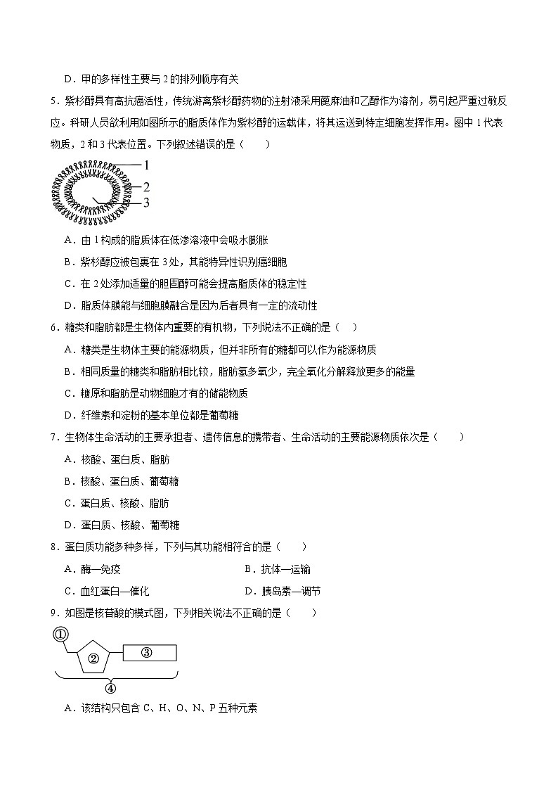 吉林省吉林市重点高中2025-2026学年高一下学期3月开学考试 生物（含解析）第2页