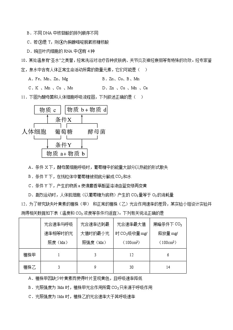 吉林省吉林市重点高中2025-2026学年高一下学期3月开学考试 生物（含解析）第3页
