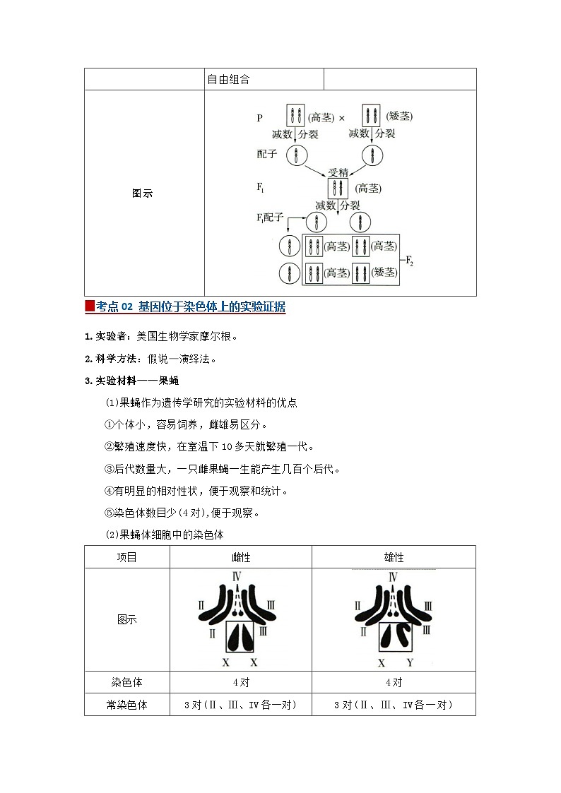 第二章第二节 基因在染色体上2025-2026学年高中生物必修二同步复习讲义（解析版）第2页