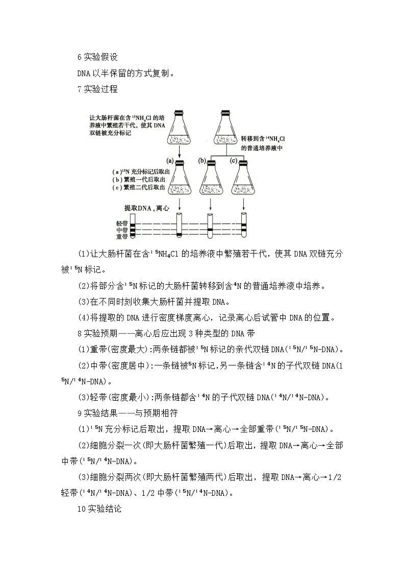 第三章第三节DNA的复制 2025-2026学年高中生物必修二同步复习讲义（原卷版）第2页