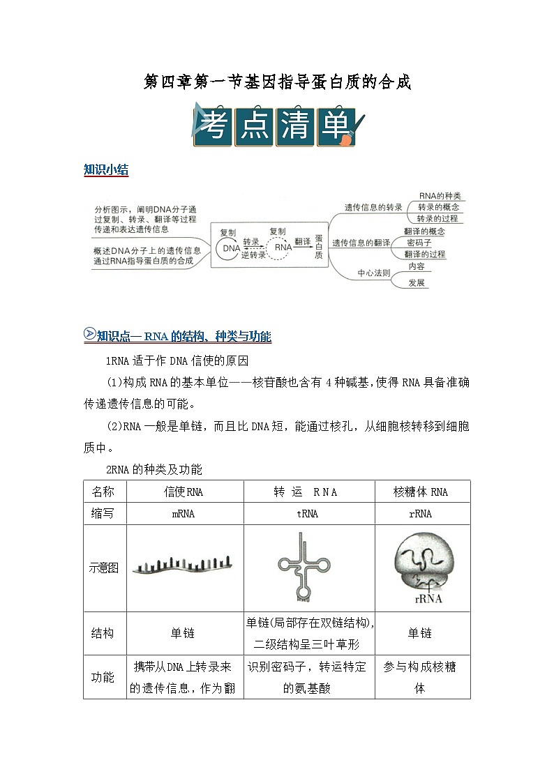 第四章第一节基因指导蛋白质的合成 2025-2026学年高中生物必修二同步复习讲义（原卷版）第1页