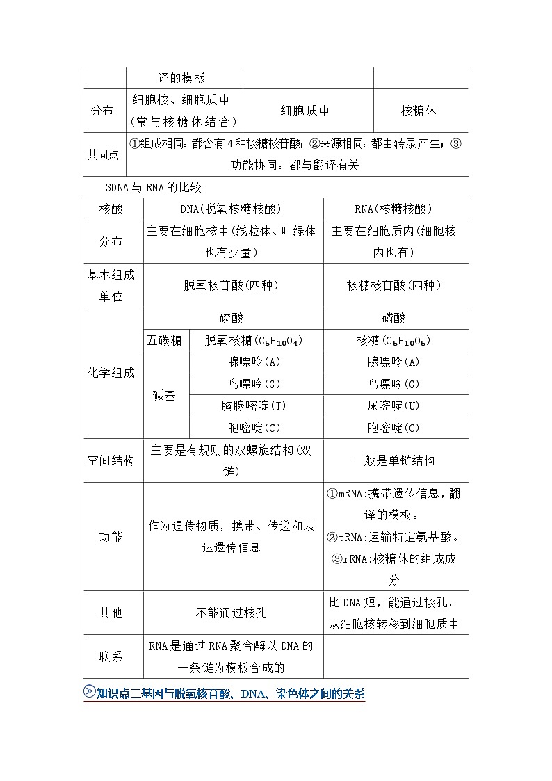 第四章第一节基因指导蛋白质的合成 2025-2026学年高中生物必修二同步复习讲义（原卷版）第2页