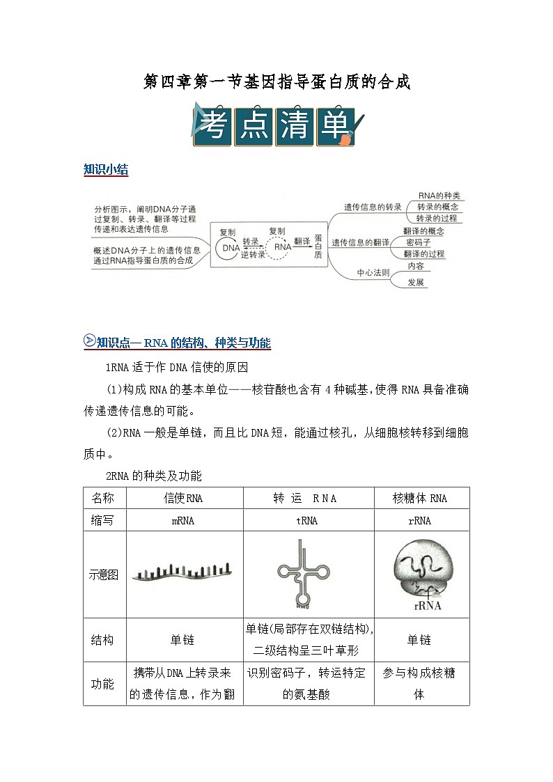 第四章第一节基因指导蛋白质的合成 2025-2026学年高中生物必修二同步讲义（解析版）第1页