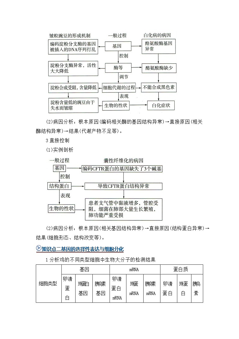 第四章第二节基因表达与性状的关系 2025-2026学年高中生物必修二同步复习讲义（原卷版）第2页