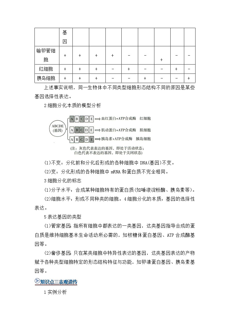 第四章第二节基因表达与性状的关系 2025-2026学年高中生物必修二同步复习讲义（原卷版）第3页