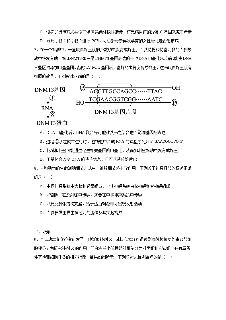 2026年湖南邵阳市高三下学期第二次联考生物试题（无答案）第3页