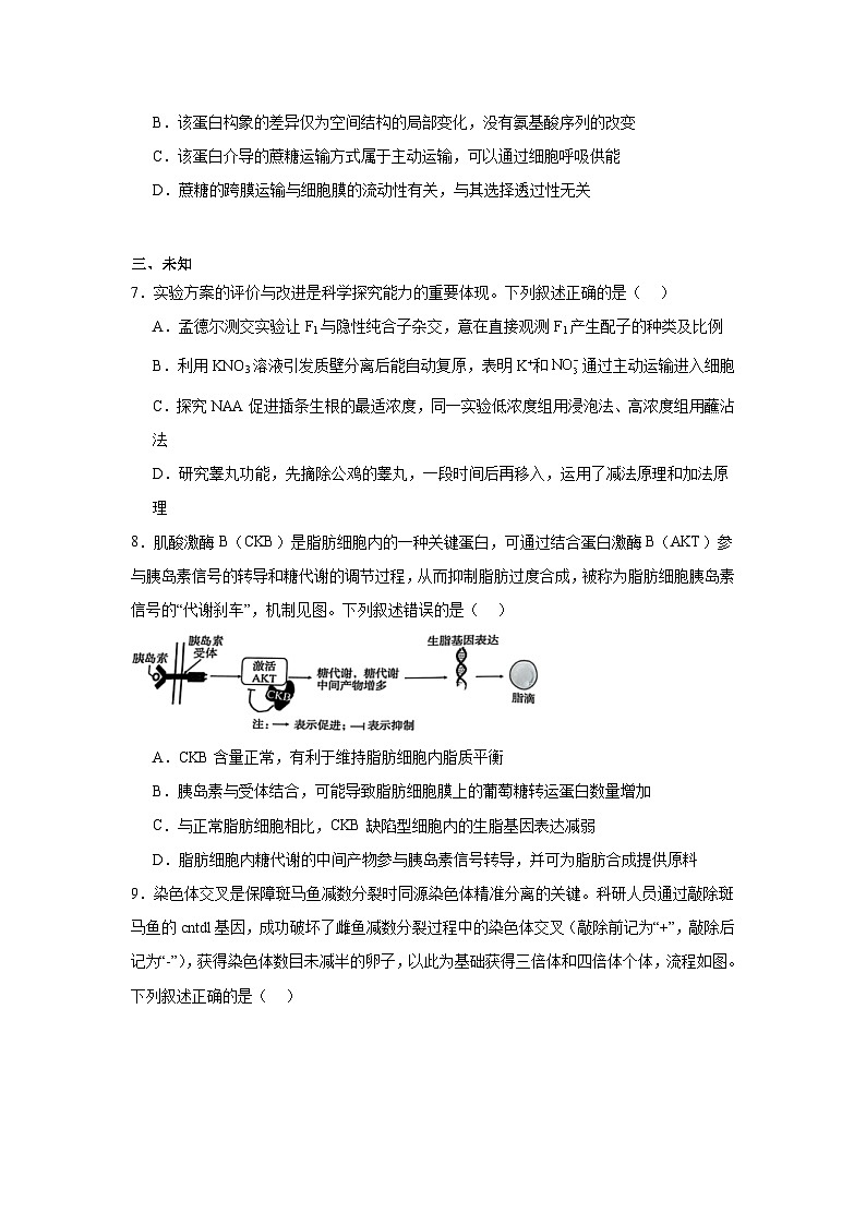 2026年湖北省恩施土家族苗族自治州高三下学期二模生物试题（无答案）第3页