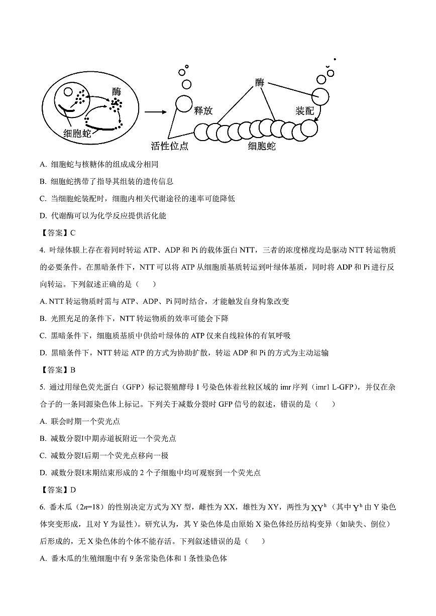 生物-河北省百师联盟2026届高三下学期3月第一次质量检测试卷及答案第2页