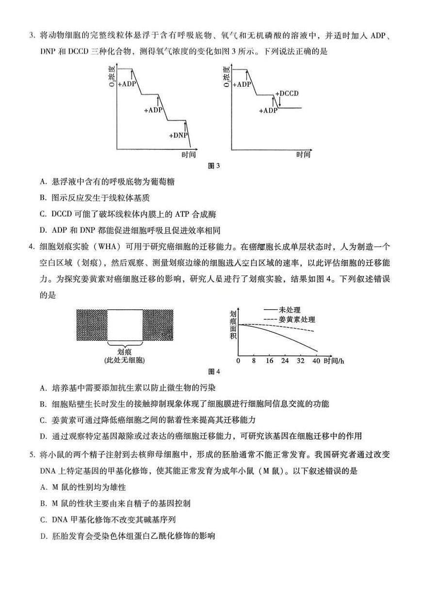 生物-重庆市重庆第八中学2026届高考适应性月考卷（六）试卷及答案第2页
