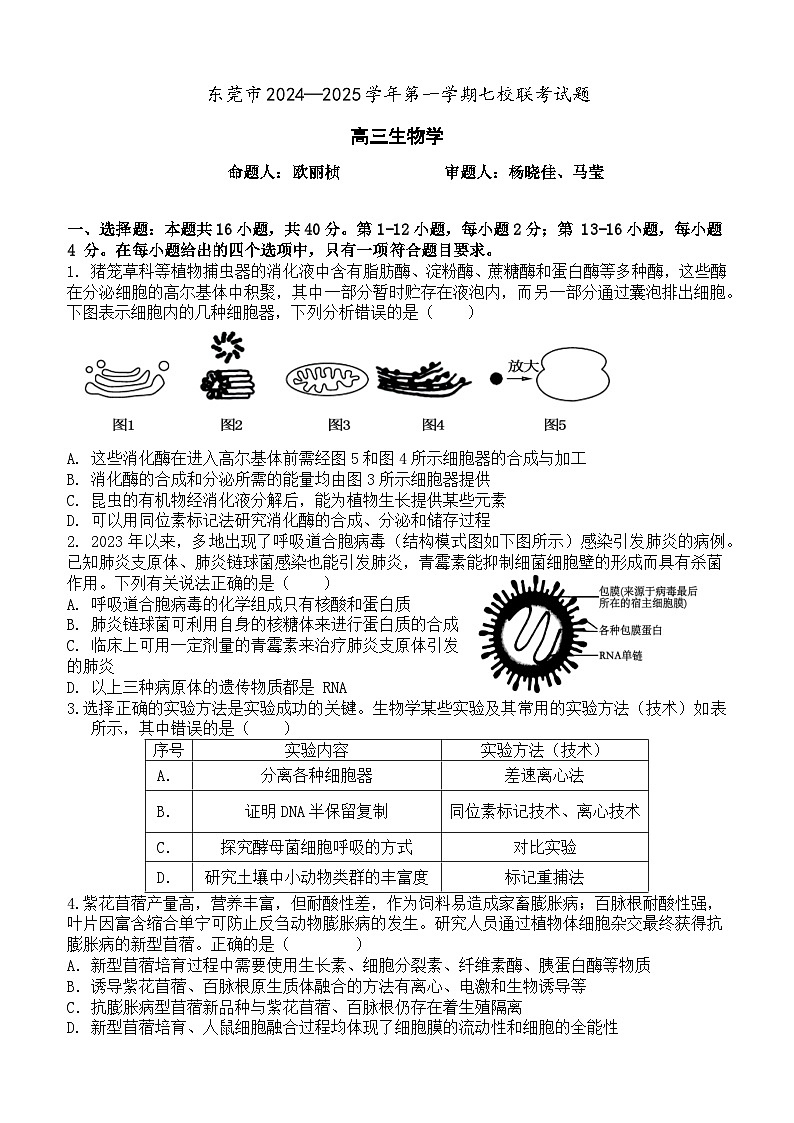广东省东莞市七校联考2024-2025学年高三上学期12月月考生物第1页