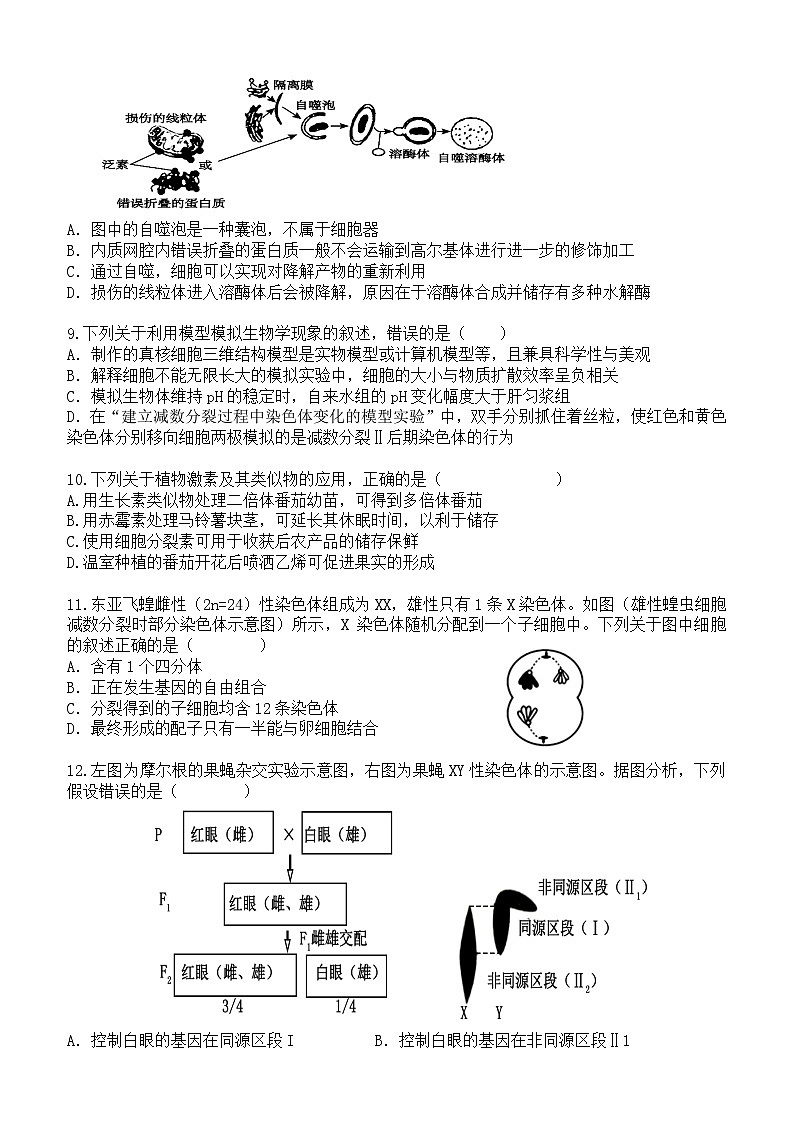 广东省东莞市七校联考2024-2025学年高三上学期12月月考生物第3页