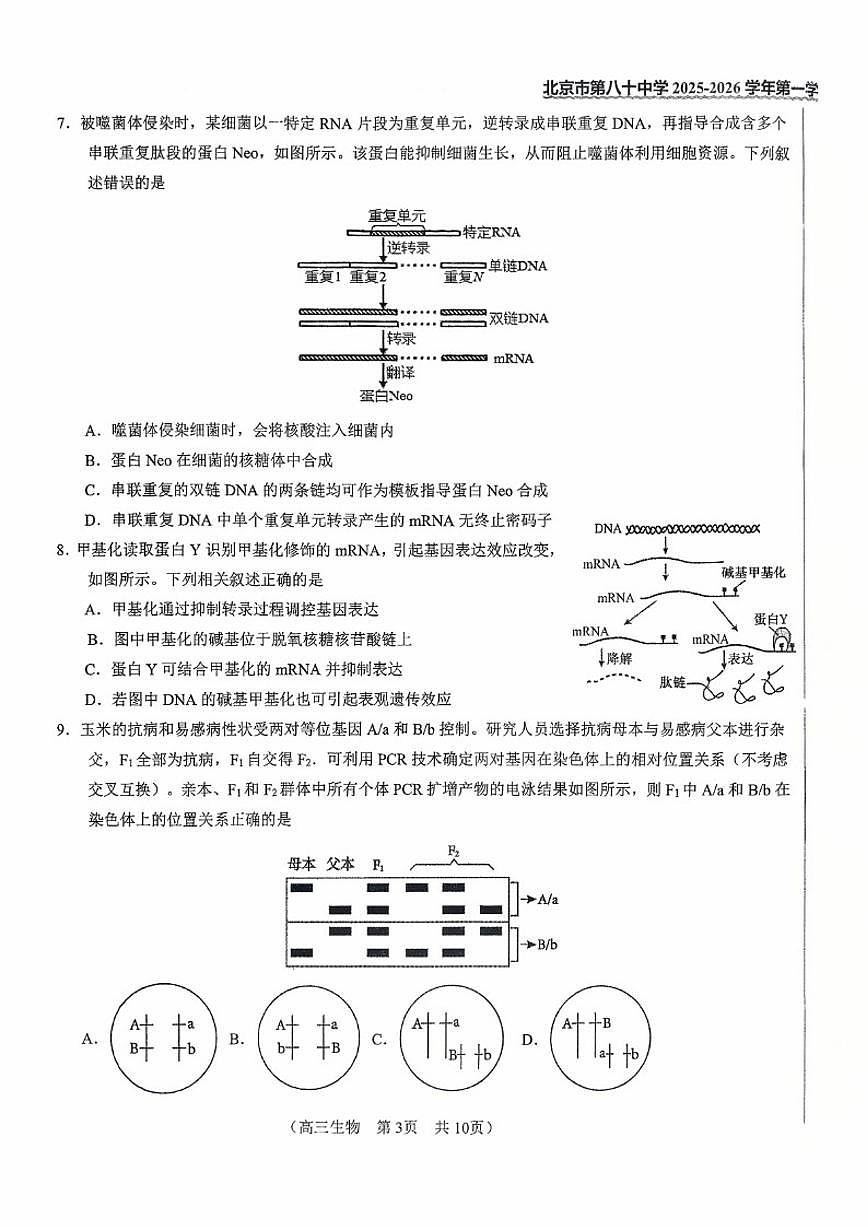 北京市第八十中学2025一2026学年高三第一学期十月阶段测生物试卷（无答案）第3页
