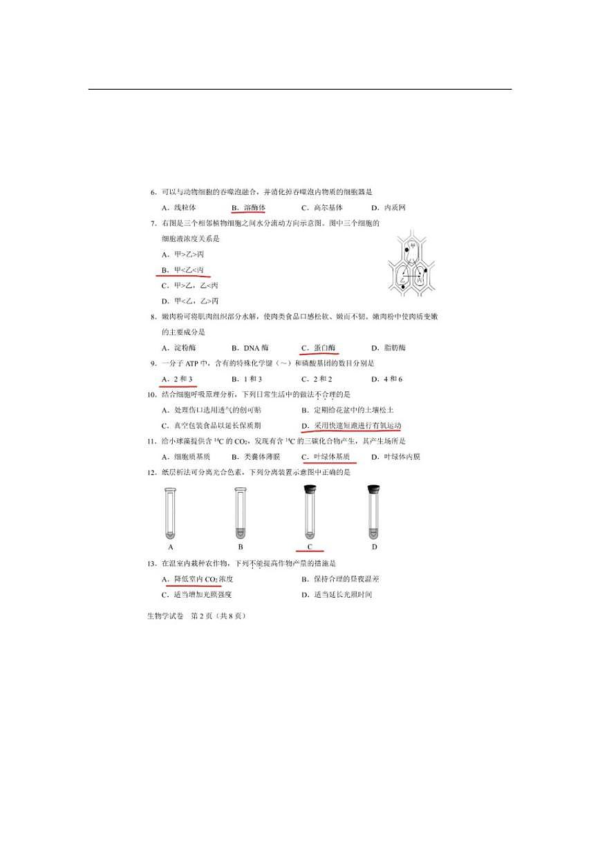 2025年北京市第二次普通高中学业水平合格性考试生物学试卷（无答案）第2页