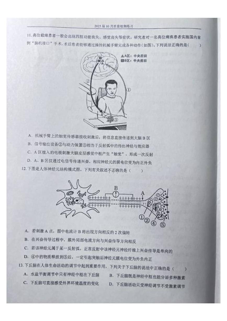 北京市中国人民大学附属中学2025届高三上学期10月月考生物试题（有解析）第3页