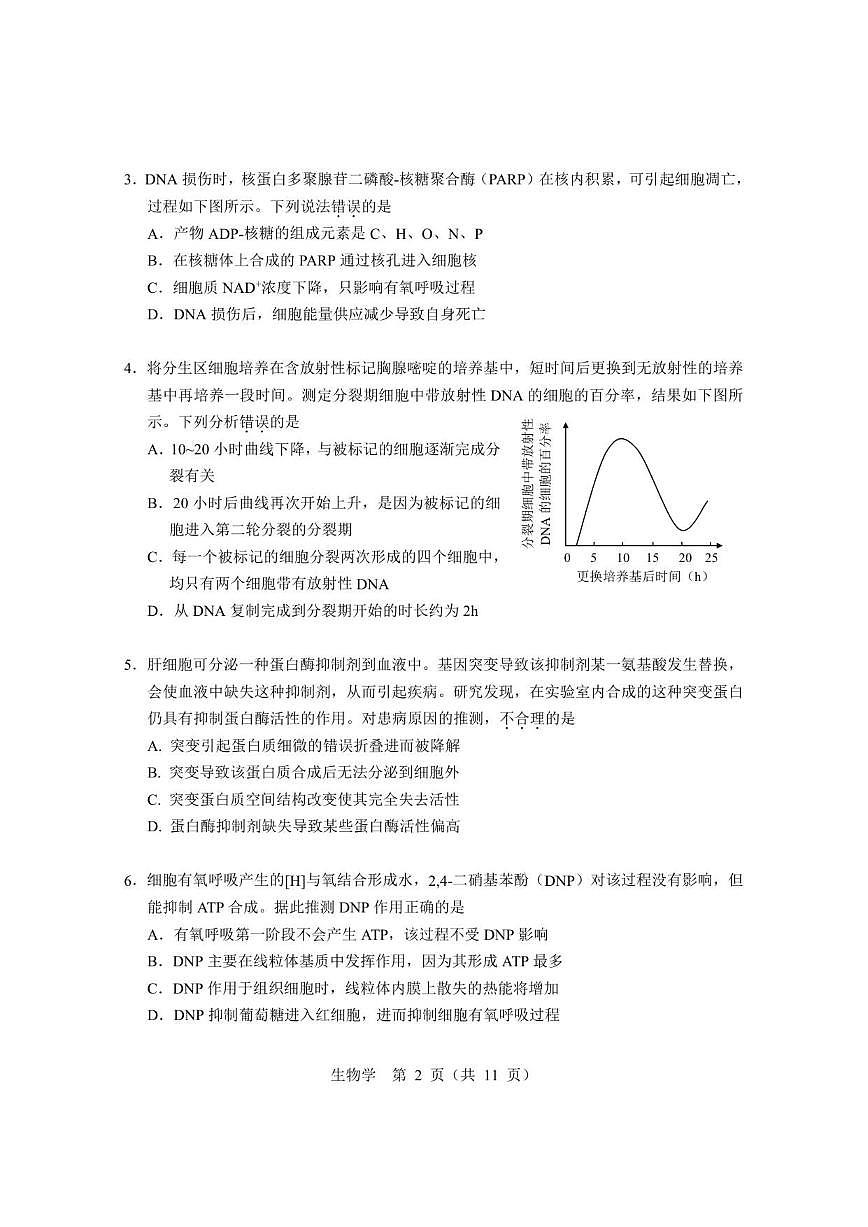 2026届北京市高三上第二次统练生物试卷（无答案）第2页