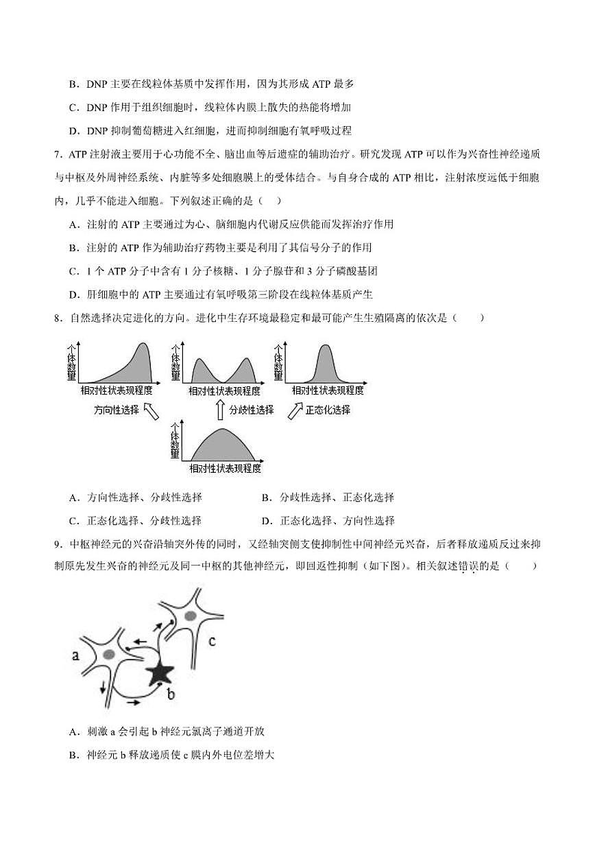 北京市2026届高三上学期第二次统练生物试卷（含答案）第3页
