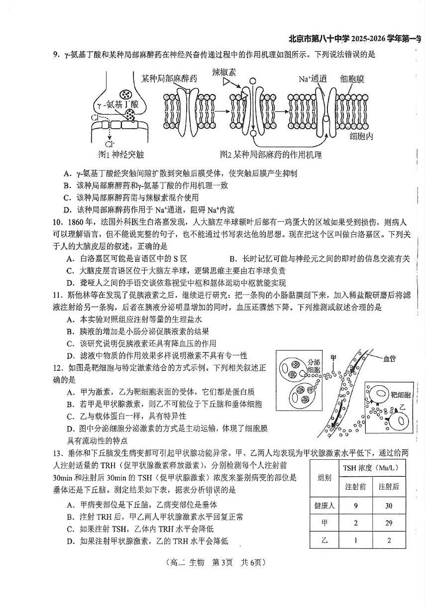 北京市第八十中学2025一2026学年高二第一学期10月阶段测生物试卷（含答案）第3页