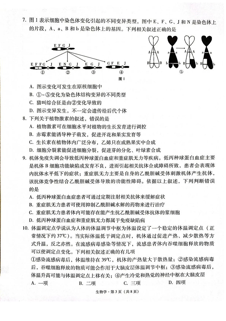 西南名校联盟2026届“3+3+3”高考备考诊断性联考（二）生物试卷第3页