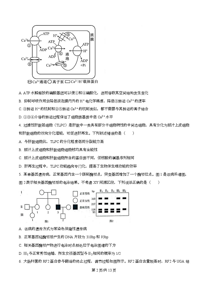 生物试题（原卷版）第2页