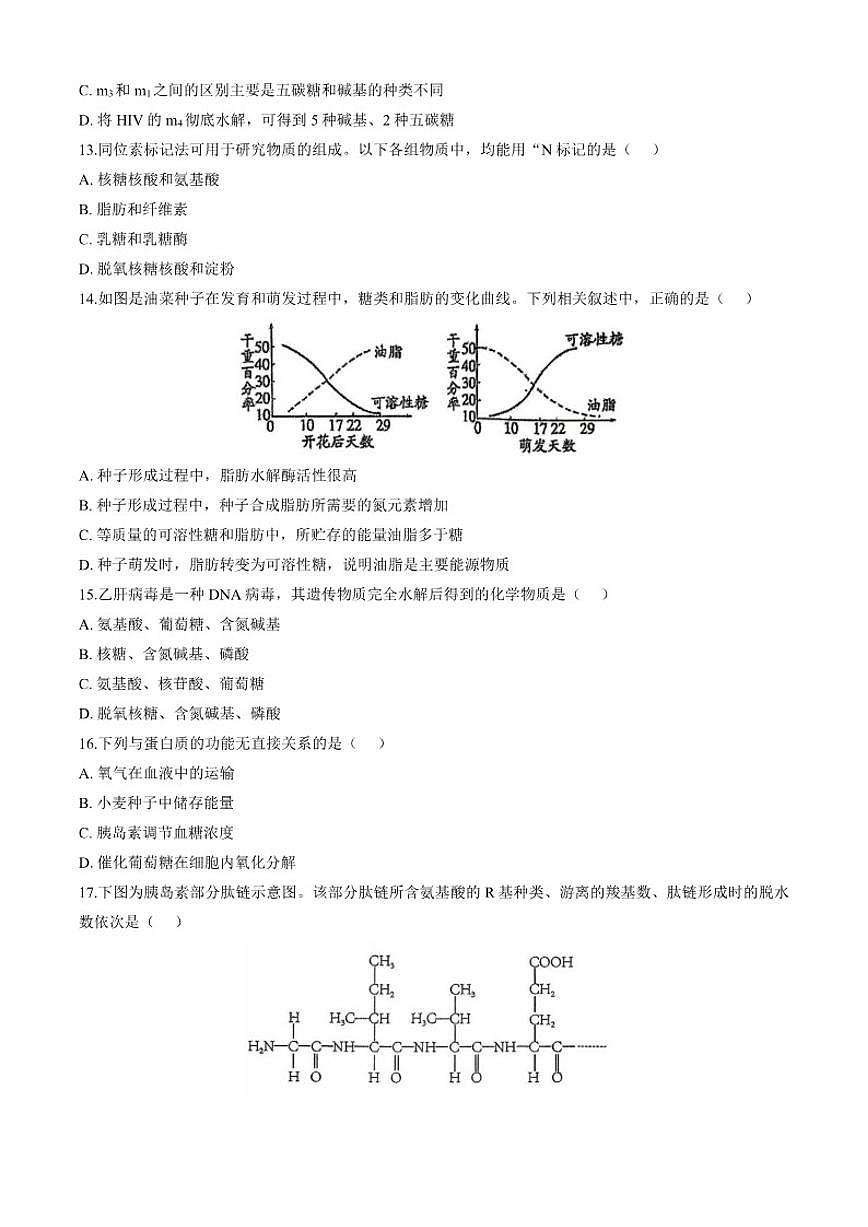 北京市第八十中学2025-2026学年高一上学期10月月考生物试题（含答案）第3页