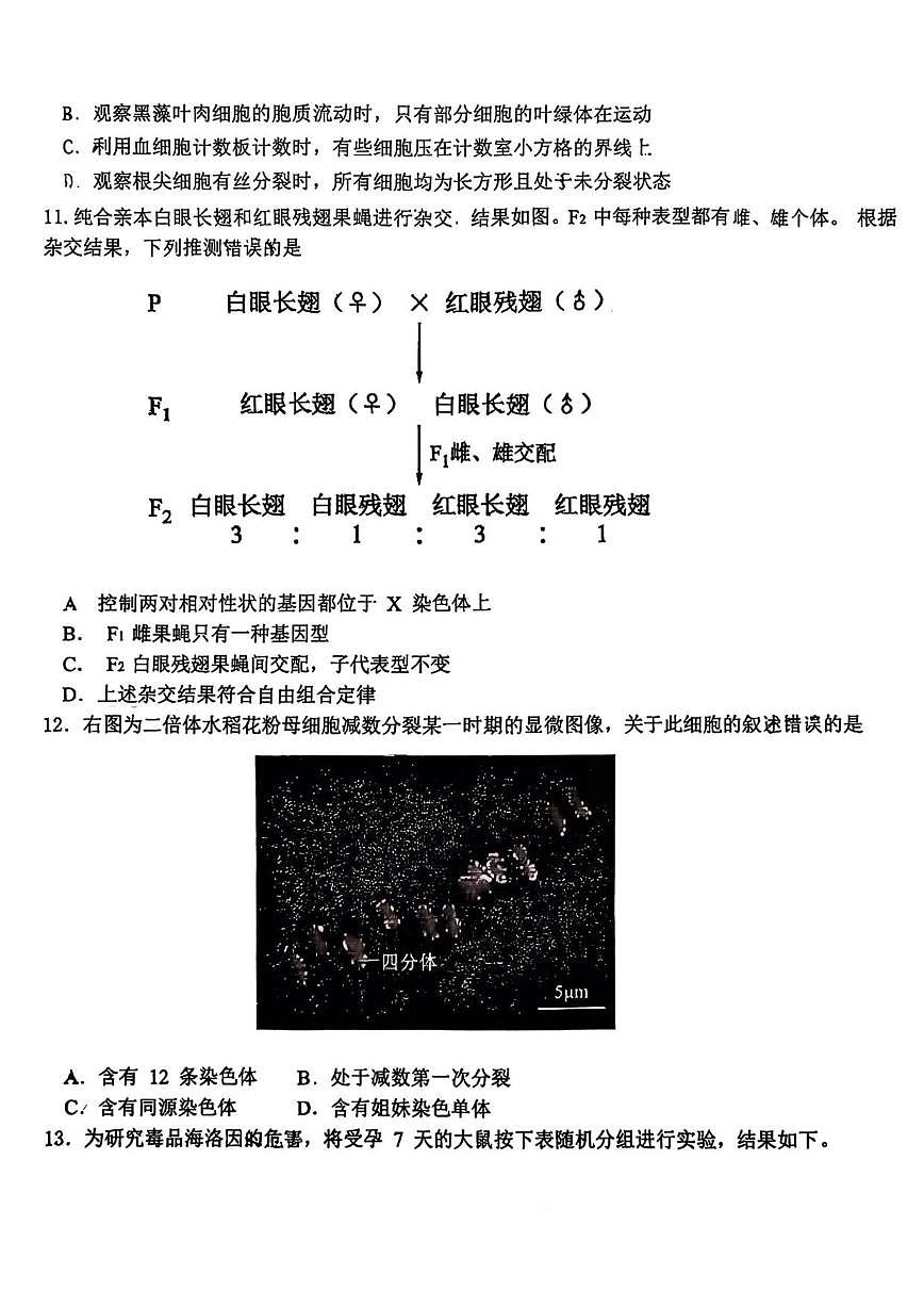 北京市广渠门中学2025-2026学年高三上学期10月月考生物试题（含答案）第3页