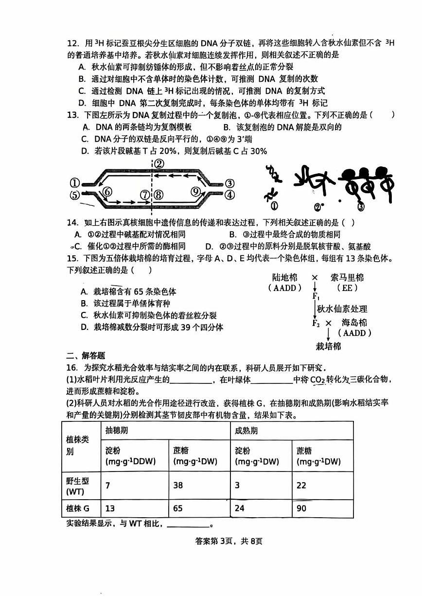 北京市北京市平谷区北京市平谷中学2025-2026学年高三上学期10月月考生物试题（含答案）第3页